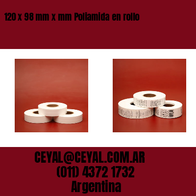 120 x 98 mm x mm Poliamida en rollo