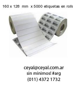 160 x 128  mm  x 5000 etiquetas en rollo