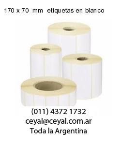 170 x 70  mm  etiquetas en blanco