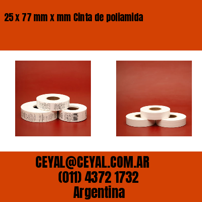 25 x 77 mm x mm Cinta de poliamida