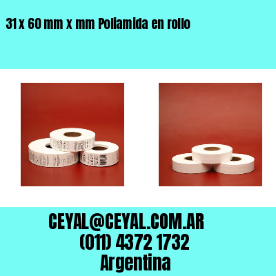 31 x 60 mm x mm Poliamida en rollo