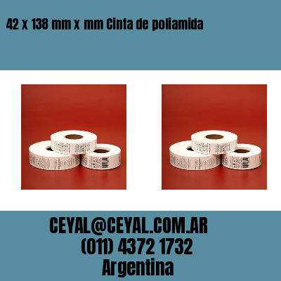 42 x 138 mm x mm Cinta de poliamida