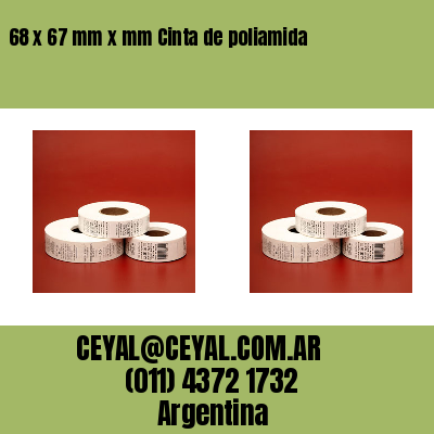 68 x 67 mm x mm Cinta de poliamida
