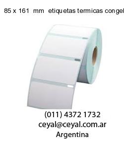 85 x 161  mm  etiquetas termicas congelado