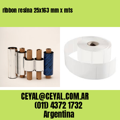 ribbon resina 25×163 mm x mts
