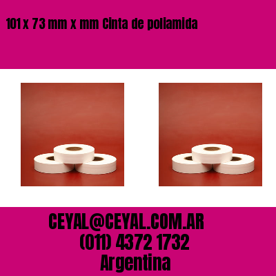 101 x 73 mm x mm Cinta de poliamida