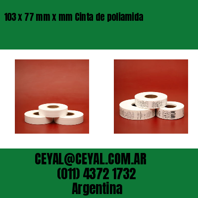 103 x 77 mm x mm Cinta de poliamida