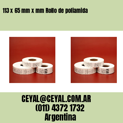 113 x 65 mm x mm Rollo de poliamida