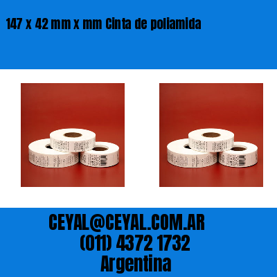 147 x 42 mm x mm Cinta de poliamida