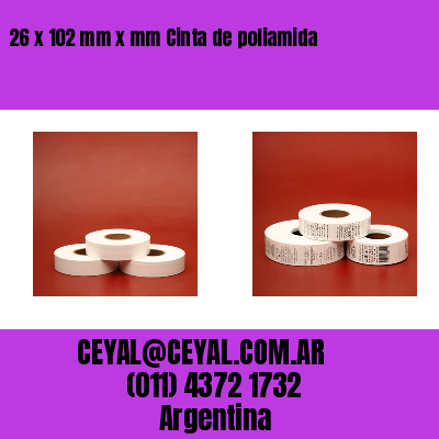 26 x 102 mm x mm Cinta de poliamida