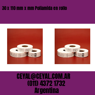 30 x 110 mm x mm Poliamida en rollo