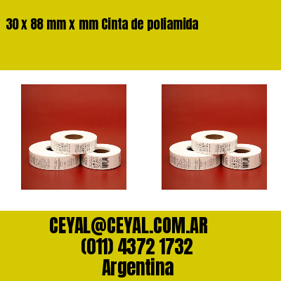 30 x 88 mm x mm Cinta de poliamida