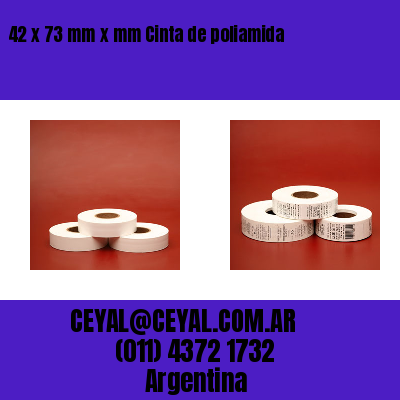 42 x 73 mm x mm Cinta de poliamida