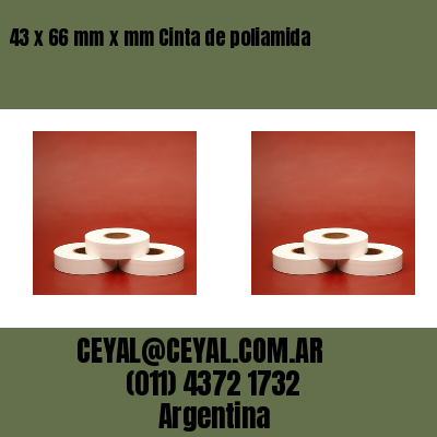 43 x 66 mm x mm Cinta de poliamida
