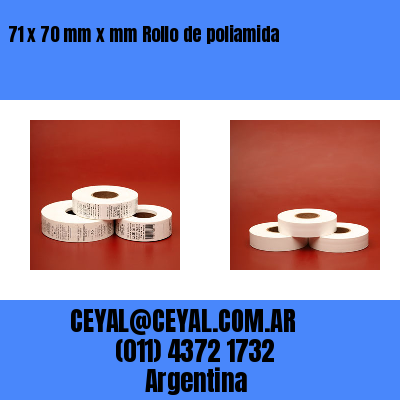 71 x 70 mm x mm Rollo de poliamida