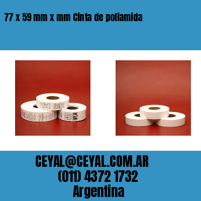 77 x 59 mm x mm Cinta de poliamida
