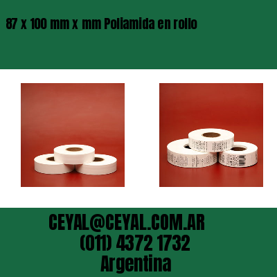 87 x 100 mm x mm Poliamida en rollo