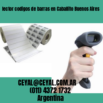 lector codigos de barras en Caballito Buenos Aires