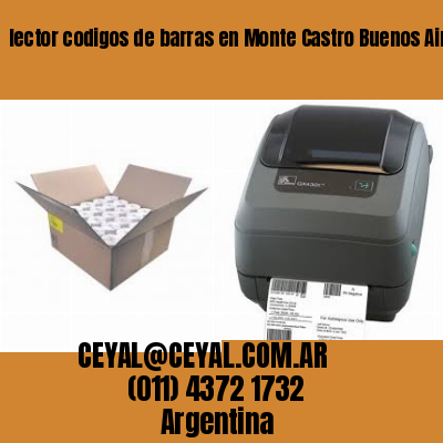 lector codigos de barras en Monte Castro Buenos Aires
