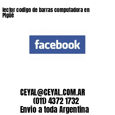 lector codigo de barras computadora en Pigüé