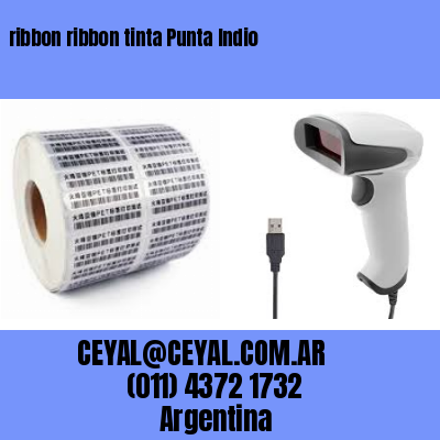 ribbon ribbon tinta Punta Indio