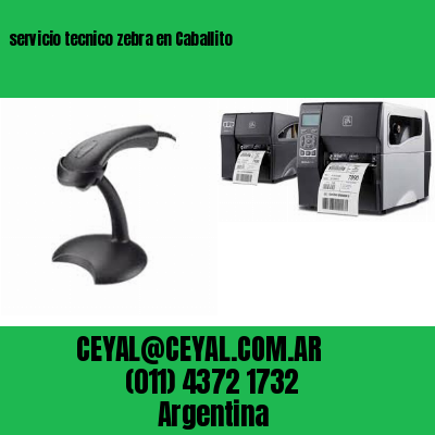 servicio tecnico zebra en Caballito