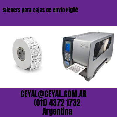 stickers para cajas de envio Pigüé