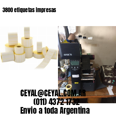 3800 etiquetas impresas