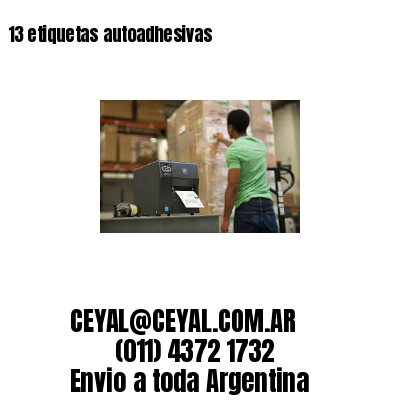 13 etiquetas autoadhesivas