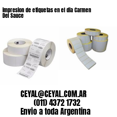 impresion de etiquetas en el dia Carmen Del Sauce