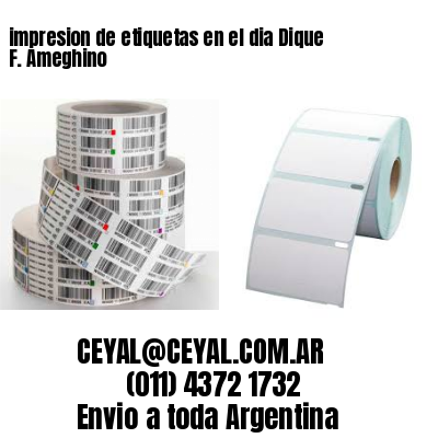 impresion de etiquetas en el dia Dique F. Ameghino