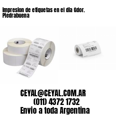 impresion de etiquetas en el dia Gdor. Piedrabuena