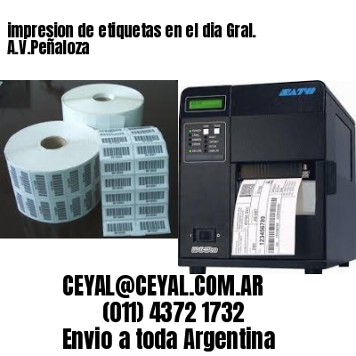 impresion de etiquetas en el dia Gral. A.V.Peñaloza