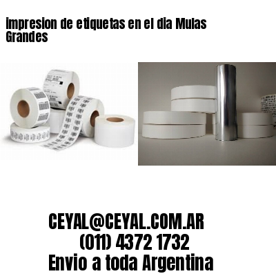 impresion de etiquetas en el dia Mulas Grandes