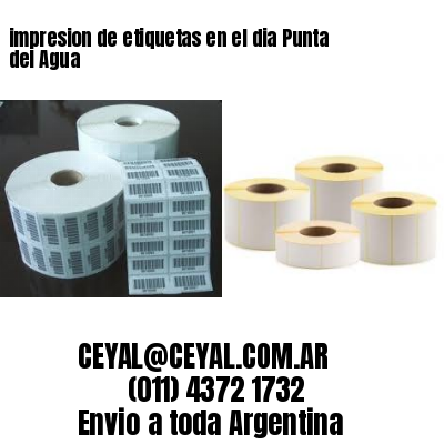 impresion de etiquetas en el dia Punta del Agua