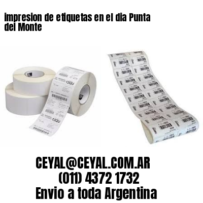 impresion de etiquetas en el dia Punta del Monte