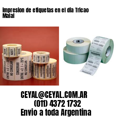 impresion de etiquetas en el dia Tricao Malal