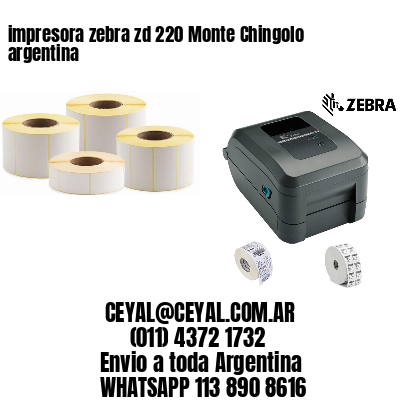 impresora zebra zd 220 Monte Chingolo argentina