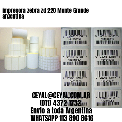 impresora zebra zd 220 Monte Grande argentina