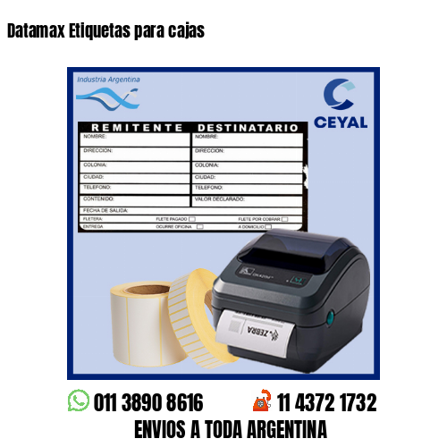 Datamax Etiquetas para cajas