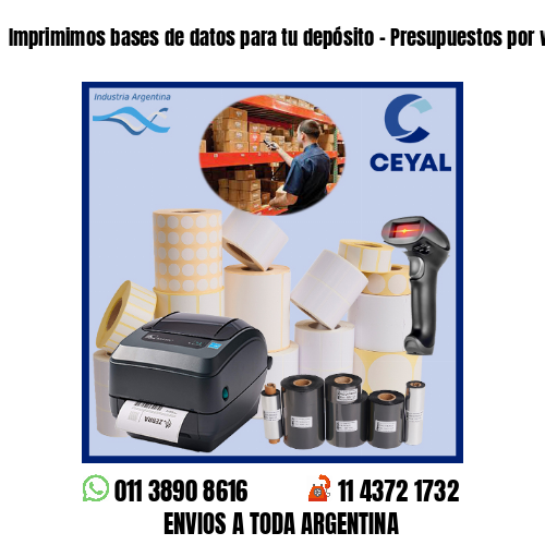 Imprimimos bases de datos para tu depósito – Presupuestos por whatsapp!