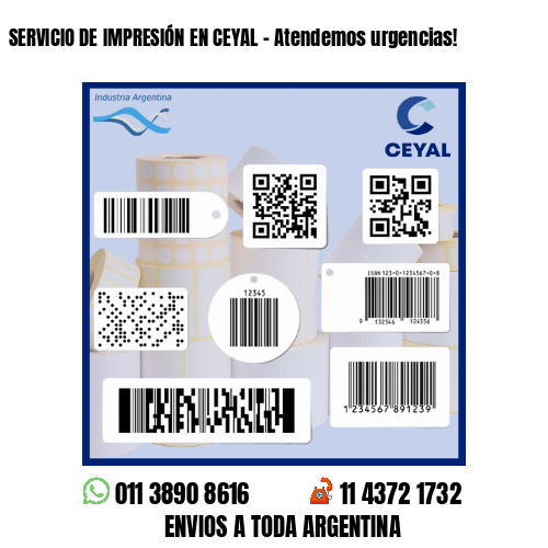 SERVICIO DE IMPRESIÓN EN CEYAL - Atendemos urgencias!