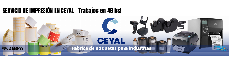 SERVICIO DE IMPRESIÓN EN CEYAL - Trabajos en 48 hs!