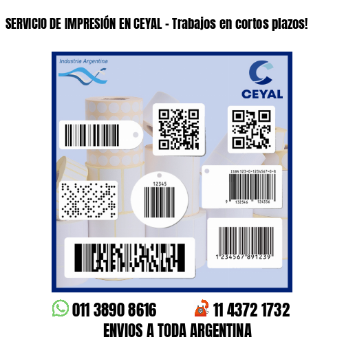 SERVICIO DE IMPRESIÓN EN CEYAL - Trabajos en cortos plazos!