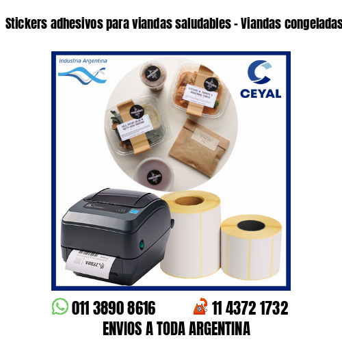 Stickers adhesivos para viandas saludables – Viandas congeladas