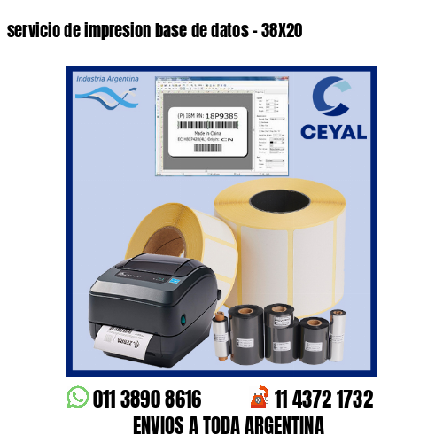 servicio de impresion base de datos – 38X20