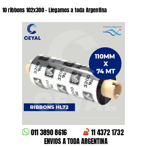 10 ribbons 102×300 – Llegamos a toda Argentina