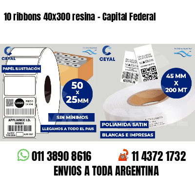 10 ribbons 40x300 resina - Capital Federal