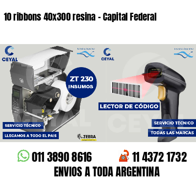 10 ribbons 40x300 resina - Capital Federal