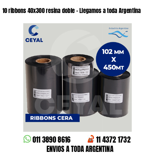10 ribbons 40x300 resina doble - Llegamos a toda Argentina